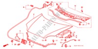 CAPO(RH) para Honda CIVIC 1.5ILS 4 Puertas 5 velocidades manual 1997