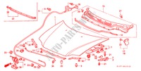 CAPO(RH) para Honda CR-V RVSI 5 Puertas 5 velocidades manual 2000