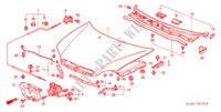 CAPO(RH) para Honda ACCORD 2.0ILS 4 Puertas 5 velocidades manual 2000