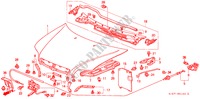 CAPO(LH) para Honda CIVIC AERODECK 1.5IVT 5 Puertas 5 velocidades manual 1998