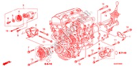 MENSULA DE TENSIONADOR AUTOMATICO para Honda S2000 BASE 2 Puertas 6 velocidades manual 2008