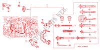 CONJ. DE CABLES DE MOTOR (DIESEL) para Honda ACCORD 2.0ITD        ECD3 5 Puertas 5 velocidades manual 1999