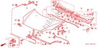 CAPO(RH) para Honda CIVIC 1.4B 3 Puertas 5 velocidades manual 2001