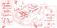 CONJ. DE CABLES DE MOTOR (TYPE R)(LH) para Honda CIVIC TYPE R 3 Puertas 6 velocidades manual 2004