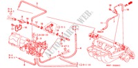 TUBERIA(L4)(1) para Honda ACCORD COUPE 2.0IES 2 Puertas 5 velocidades manual 2002