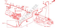 TUBERIA(L4)(2) para Honda ACCORD COUPE 2.0IES 2 Puertas 5 velocidades manual 2000