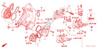 BOMBA DE AGUA(L4) para Honda ACCORD 2.4          VTI-E 4 Puertas 5 velocidades manual 2005