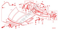 CAPO DE MOTOR(RH) para Honda CIVIC 1.4SE 5 Puertas 6 velocidades manual 2011