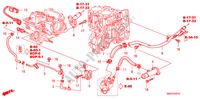 MANGUERA DE AGUA(DIESEL) para Honda CIVIC 2.2 TYPE-S 3 Puertas 6 velocidades manual 2011
