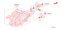 MANGUERA DE AGUA(LH)(2.0L) para Honda CIVIC 2.0 TYPE-R    PLUS 3 Puertas 6 velocidades manual 2011