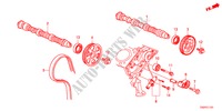 ARBOL DE LEVAS/CORREA DE SINCRONIZACION(V6) para Honda ACCORD 35EXI 4 Puertas 5 velocidades automática 2012