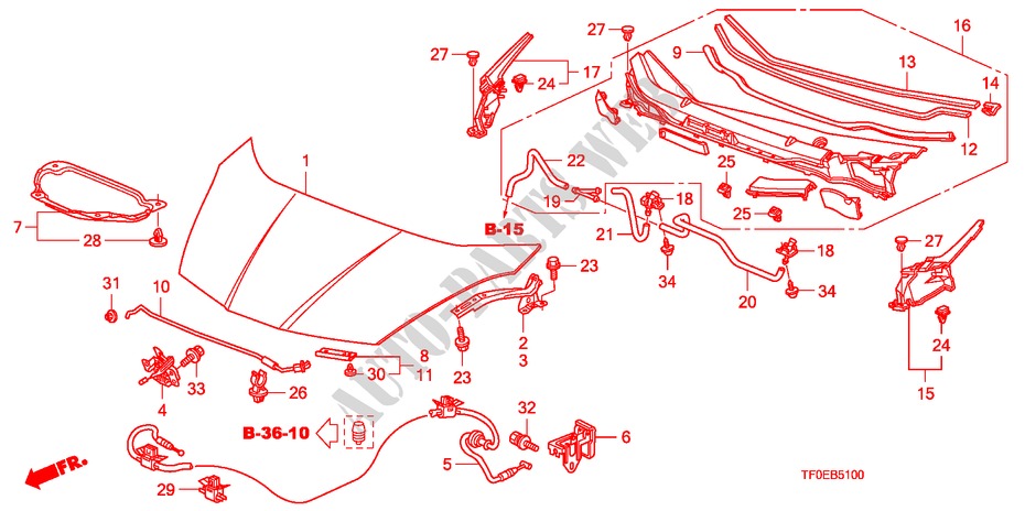 CAPO DE MOTOR(LH) para Honda JAZZ 1.5 EXE 5 Puertas 5 velocidades manual 2010