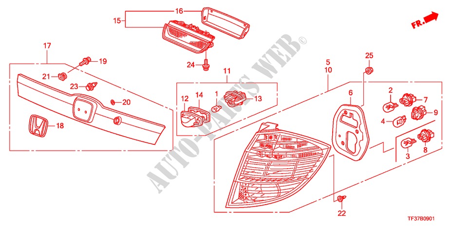 LUZ TRASERA/LUZ DE LICENCIA(2) para Honda JAZZ 1.2SE 5 Puertas 5 velocidades manual 2011