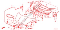 CAPO DE MOTOR(RH) para Honda JAZZ 1.4EX 5 Puertas 5 velocidades manual 2012