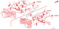 MANGUERA DE AGUA(DIESEL) para Honda ACCORD 2.2 EXECUTIVE 4 Puertas 6 velocidades manual 2010