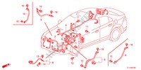 CONJUNTO DE ALAMBRES(1)(LH) para Honda ACCORD 2.2 ELEGANCE 4 Puertas 6 velocidades manual 2012