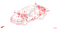 CONJUNTO DE ALAMBRES(2)(RH) para Honda ACCORD 2.0 S 4 Puertas 5 velocidades automática 2012