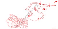 MANGUERA DE AGUA(2.4L)(LH) para Honda ACCORD 2.4 S 4 Puertas 5 velocidades automática 2012