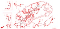 CONJUNTO DE ALAMBRES(1) (RH) para Honda ACCORD TOURER 2.2 EX 5 Puertas 6 velocidades manual 2009