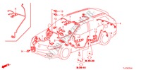 CONJUNTO DE ALAMBRES(3) (LH) para Honda ACCORD TOURER 2.2 EXECUTIVE 5 Puertas 6 velocidades manual 2009