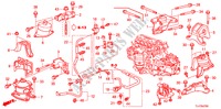 SOPORTES DE MOTOR(2.0L) (MT) para Honda ACCORD TOURER 2.0 COMFORT 5 Puertas 6 velocidades manual 2009