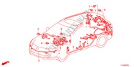 CONJUNTO DE ALAMBRES(2)(LH) para Honda ACCORD TOURER 2.4 TYPE S 5 Puertas 5 velocidades automática 2010