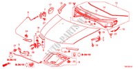 CAPO DE MOTOR(RH) para Honda BALLADE VTI 4 Puertas 5 velocidades manual 2011