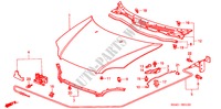 CAPO(LH) para Honda CIVIC SIR 4 Puertas 5 velocidades manual 2000