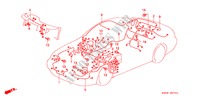 CONJUNTO DE ALAMBRES(RH) para Honda PRELUDE TYPE-S 2 Puertas 5 velocidades manual 2000