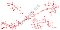 LINEAS DE P.S.(RH) para Honda PRELUDE TYPE-S 2 Puertas 5 velocidades manual 2000