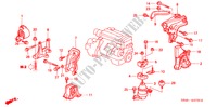 SOPORTES DE MOTOR(L4) (MT) para Honda ACCORD 2.3VTI 4 Puertas 5 velocidades manual 2001