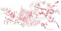 CONJ. DE CABLES DE MOTOR/ ABRAZADERA para Honda CIVIC DX 1300 3 Puertas 5 velocidades manual 1988
