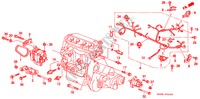 CONJ. DE CABLES DE MOTOR/ABRAZADERA para Honda CIVIC SHUTTLE 55X 5 Puertas 5 velocidades manual 1995