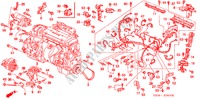 CONJ. DE CABLES DE MOTOR/ABRAZADERA para Honda PRELUDE SI     NEW ZEALAND 2 Puertas 5 velocidades manual 1995