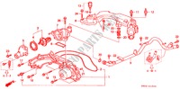 BOMBA DE AGUA/SENSOR(V6) para Honda ACURA 3.2TL 3.2TL 4 Puertas 4 velocidades automática 1996