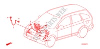 CONJUNTO DE ALAMBRES(RH)(1) para Honda CR-V RVSI         INDIA 5 Puertas 5 velocidades automática 2009