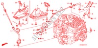 TUBERIA ATF(2.4L) para Honda CR-V 4WD 5 Puertas 5 velocidades automática 2007