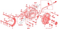 TRANSPORTADOR DIFERENCIAL para Honda ACURA 3.5RL 3.5RL 4 Puertas 4 velocidades automática 1997