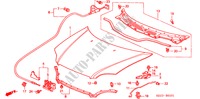 CAPO(RH) para Honda CIVIC VTI 4 Puertas 5 velocidades manual 2000