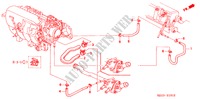 MANGUERA DE AGUA(3) para Honda CIVIC 1.6IES 4 Puertas 5 velocidades manual 2000