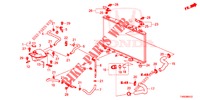 MANGUERA DE RADIADOR/TANQUE DE RESERVA (DIESEL) para Honda CIVIC DIESEL 1.6 EXECUTIVE EURO 6 5 Puertas 6 velocidades manual 2015