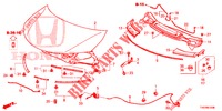CAPO (LH) para Honda CIVIC 1.8 EXECUTIVE 5 Puertas 6 velocidades manual 2012