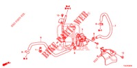 SOLENOIDE CONTROL PURGA VALVULA (1,0 L) para Honda CIVIC 1.0 MID 5 Puertas 6 velocidades manual 2018