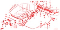 CAPO (LH) para Honda ACCORD TOURER 2.0 COMFORT 5 Puertas 6 velocidades manual 2015
