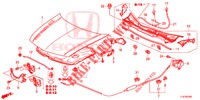 CAPO (LH) para Honda ACCORD TOURER DIESEL 2.2 ELEGANCE 5 Puertas 6 velocidades manual 2015