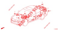 CONJUNTO DE ALAMBRES (2) (LH) para Honda ACCORD DIESEL 2.2 ELEGANCE PACK 4 Puertas 6 velocidades manual 2013