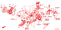 BOMBA DE AGUA/TERMOSTATO (2.0L) para Honda CR-V 2.0 EXCLUSIVE NAVI 5 Puertas 5 velocidades automática 2014
