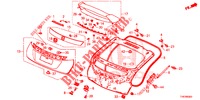 PANEL DE PUERTA TRASERA(2D)  para Honda CIVIC TYPE R 5 Puertas 6 velocidades manual 2016